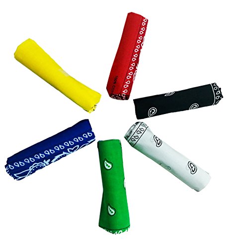 6 Color Pack Double Sided Print - Pack Of 6 Assorted Color Classic Paisley Bandanas