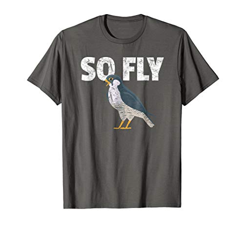 Bree's Bird Watching T ShirtsPeregrine Falcon Bird, Birdwatcher Vintage T-ShirtOEKO-TEX STANDARD 100