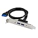 JacobsParts 2-Port USB 3.0 Rear Panel Bracket 20-Pin Motherboard Header Cable for PC Card Slot