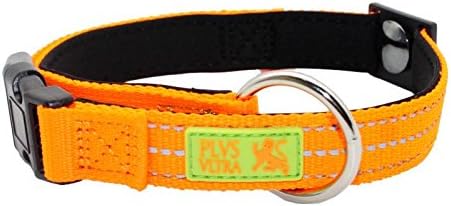 Magnetic Small Dog Collar with High Viz for Night Visibility and Soft Padding for Comfort by Plus Ultra 27cm to 39 cm
