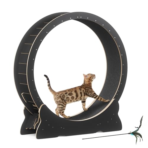 Mondeer Cat Exercise Wheel