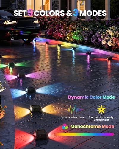 【夜的專屬畫師】TECKNET 太陽能車道燈 12 入 $29.99