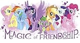 17 Inch Rainbow Dash Twilight Sparkle Apple Jack Rarity Pinky Pie Fluttershy Spike Wall Decal Sticker MLP My Little Pony The Movie Removable Art Home Decor 17 by 8 1/2 inch Magic of Friendship