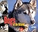 Dogs of the Iditarod by Jeff Schultz