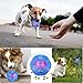 Dog Toys - Interactive IQ Treat Ball Food Dispensing Toys for Small Medium Large Dogs - Durable Nontoxic Rubber and Bouncy, Cleans Teeth