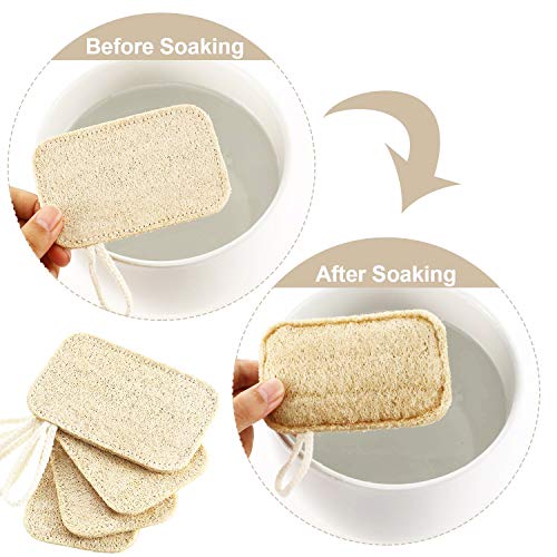 Natuurlijk serviesgoed, spoelspons, spons, vaatwasser, spons met koord, Luffaplantenvezel, keukenspons, keukenreiniging… - Afbeelding 5