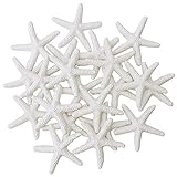 WXJ13 Starfish Decor Pencil Finger Starfish for Wedding Decor, 21 Pieces