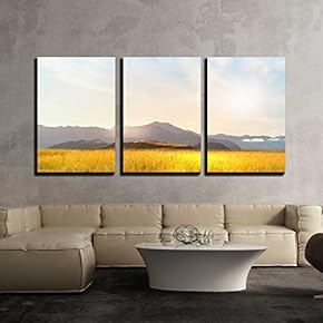 3 Piece Canvas Wall Art - Natural Landscape of Summer Field and High Mountain - Modern Home Art Stretched and Framed Ready to Hang - 16"x24"x3 Panels