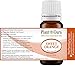 Sweet Orange Essential Oil 10 ml 100% Pure Undiluted Therapeutic Grade Citrus Sinensis, Cold Pressed from Fresh Orange Peel, Great for Aromatherapy Diffuser, Relaxation and Calming, Natural Cleaner.