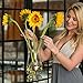 Hand Painted Blown Glass Flower Vase by Sonoma Artisan; Elegant Design with a Modern Twist; Use to Display Beautiful Bouquets or as a Decorative Accent; Unique & Special Gift Idea for Many Occasions