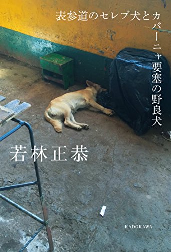 表参道のセレブ犬とカバーニャ要塞の野良犬