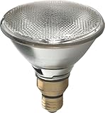 GE Lighting 62231 Energy-Efficient Halogen 75-Watt (90-watt replacement) 1500-Lumen PAR38 Floodlight Bulb with Medium Base, 1-Pack