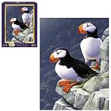 Cliff Dwellers 300-Piece Puzzle