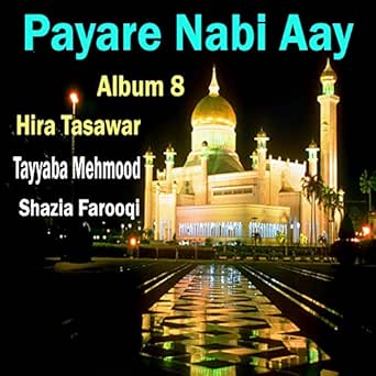 Zameen Meli Nahi Hoti by Shazia Farooqi on Amazon Music - Amazon.com