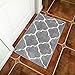 HiiARug Non-Slip Indoor Outdoor Doormat 21