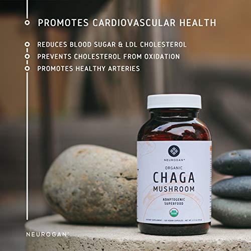 image for Neurogan Chaga Mushroom Capsules (120 Capsules) - 1000mg Wild Harveste
