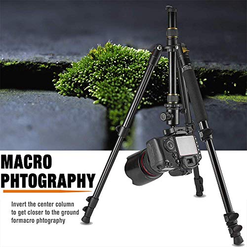 Professional Camera Tripod & Monopod – Portable Tripod Stand with 360° Ball Head – 57” DSLR Tripod for Video – Lightweight Aluminum Travel Tripod - Thumbnail 3