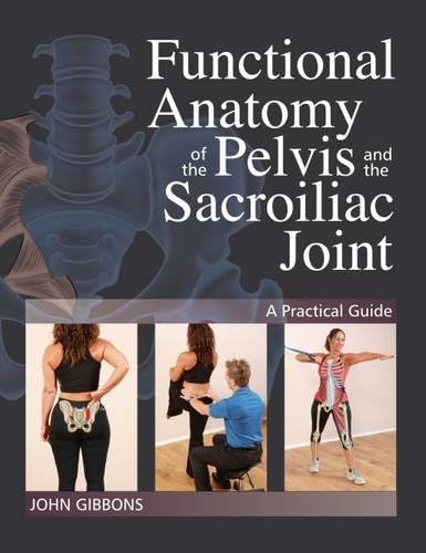 Functional Anatomy Of The Pelvis & The