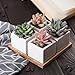 Artificial Succulent Plants Potted - Fake Succulents - Set of 4 - Faux Plants