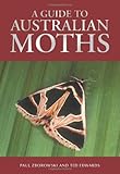 Front cover for the book Guide to Australian Moths by Paul Zborowski