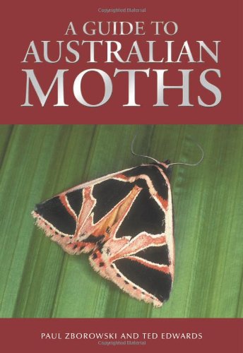 Guide to Australian Moths