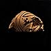 Barry.Wang Classic Formal Mens Ties Gold Paisley Tie Hanky Cufflinks Set