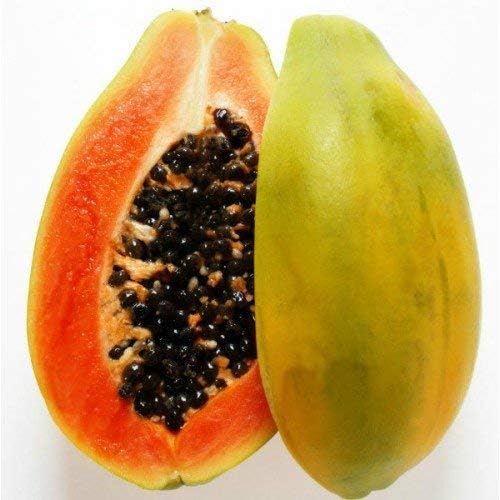 Truphe Papaya Seeds Pack of 3, 120-150 Seeds