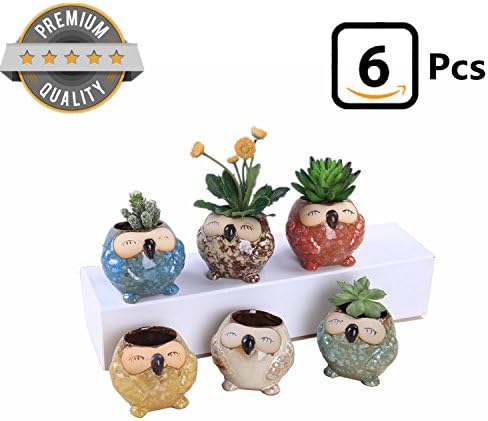 Succulent Planters Owl Pots 6 Pcs 3 Inches Cactus Planter Ceramic Flower Container with drainage holes by Hedonism