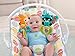 Fisher-Price Comfort Curve Bouncer, Multi color