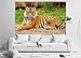 Poster – Majestic Tiger – Picture Decoration Panthera Tigris Jungle Predator Wildcat Wild Big Cat Animal Rainforest Bali India Image Photo Decor Wall Mural (55x39.4in - 140x100cm)