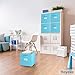 Royexe - Storage Cubes - (Set Of 6) Storage Baskets | Features Dual Handles & Label Window with 10 Label Cards | Cube Storage Bins | Foldable Fabric Closet Shelf Organizer (Blue)