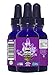 SELF HEAL (Prunella Vulgaris) - BY RELIABLE REMEDIES! - ORGANIC LIQUID EXTRACT! - MADE IN AMERICA! - ALCOHOL FREE! - 1 OUNCE! - 100% MONEY BACK GUARANTEE!** SALE NOW! - FREE HOME HERBAL HINTS eBook!
