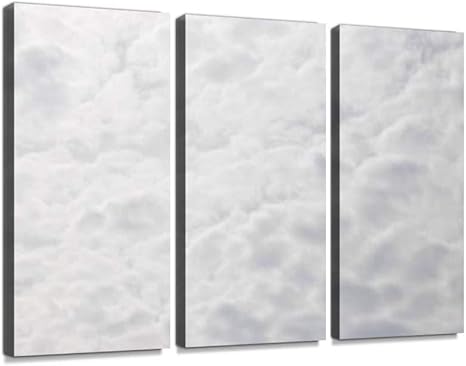 Amazon Co Jp 雲 雲海 白 やわらか 背景 質感 ふわふわ 天国 天気 宇宙 屋外ポスター パネル 現代壁の絵 壁掛け 部屋飾り 背景絵画 壁アート 完成品 3枚セット すぐ飾る ホーム キッチン