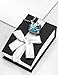 SmartChoice Keepsake Rhinestone Necklace Heart Pendant for Cremation Ashes with Beautiful Presentation Gift Box, Elegant Memorial Jewelry with Stainless Chain and Accessories, (Blue)