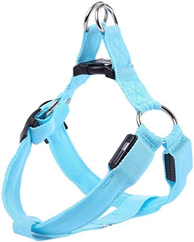 LEDs Pet Dog Cat Safety Collar Glow Flash Light Belt Leash Tether Rope,Blue,S