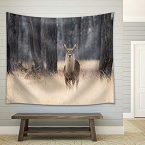 Waterbuck (Kobus Ellipsiprymnus) Standing in Tall Grasses Amongst Trees - Fabric Wall Tapestry Home Decor - 51x60 inches
