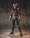 S.I.C. VOL.56 Masked Rider Kuuga Decade Edition