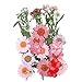 JETEHO 35 PCS Mixed Multiple Pressed Flowers Real Pressed Dried Flowers Natural Dried Flowers DIY Resin Jewelry Art Floral Decors