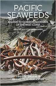 Pacific Seaweeds Updated And Expanded Edition Louis