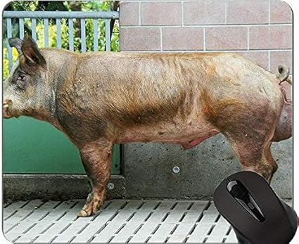 豚絵画滑り止めゴムマウスパッド イノシシマウスパッドマット Yanteng マウスパッド 通販 Amazon