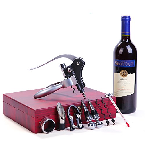 Wine Opener，SengVan Rabbit Wine Bottle Kit Stainless Steel All-in-One Accessories with Gift Box 9 Pieces (Silver)