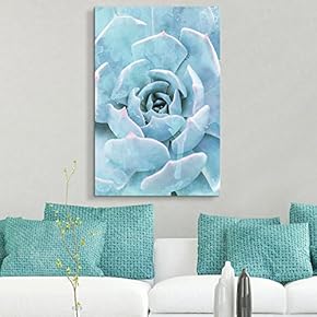 Blue Succulent Close Up - Canvas Art