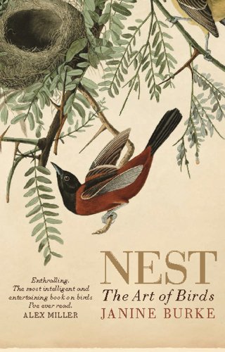 Nest: The Art of Birds by Janine Burke