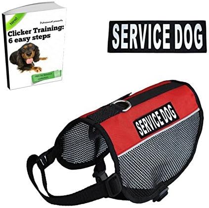 amazon service dog vest