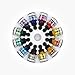Dr. Ph. Martin's Iridescent Calligraphy Ink, 1 Fl Oz (Pack of 12), Set 2 Colors