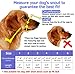 BARKLESS Dog Muzzle, Soft Basket Silicone Muzzle for Dogs, Best to Prevent Biting and Chewing, Breathable Cage Mouth Cover for Training, Allows Drinking and Panting, Used with Collar