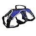 Peak Pooch - No-Pull Dog Harness - Padded, Mesh Fabric Dog Vest with Reflective Trim, Lifting Handles and Buckle Straps - Blue Dog Harness - L