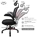 Office Chairs, Komene Ergonomic Mesh Desk Chairs High Back Computer Task Chairs with Adjustable Backrest, Headrest, Armrest and Seat Height for Conference Room