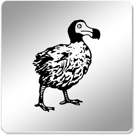 Azeeda 6 X Loiseau Dodo Sous Verres Miroir Cr00131915