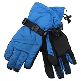 Women's Premium Thinsulate Lined / Waterproof Snowboard Gloves